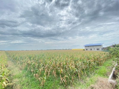 19,156 square meters Farm Lot or Memorial Lot for sale in Mexico, Pampanga