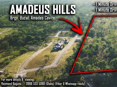 2-5 Years to Pay - Subdivision Lot in Amadeo Cavite (120 Sq.m.)