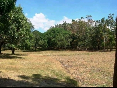 2 Hectares Agricultural Land for Sale in San Juan, Batangas