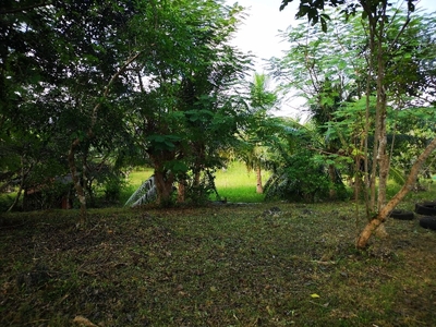 2 Hectares Residential Lot For Sale in Tangnan, Panglao, Bohol