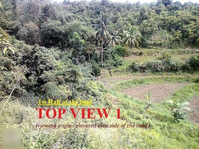 2 Million Only 20,850 square meters Farm Land in Brgy. Mabasa, Argao, Cebu