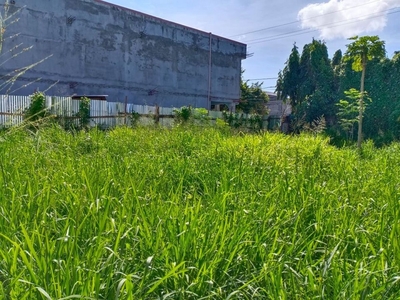 200 sqm Commercial Lot Available in Sta. Rosal Laguna