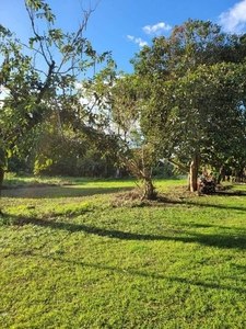 200 sqm Farm Lot in Indang, Cavite - For Sale