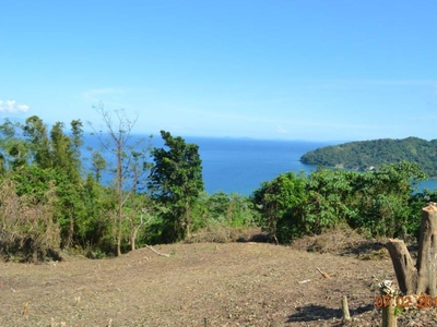 2000 sq. meters Lot with Panoramic Ocean View for sale at Puerto Galera
