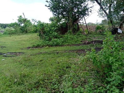 2,000 sqm Residential Lot for Sale at Rizal, Sagay, Negros Occidental