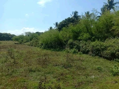 20,000 sqm Farm land property for sale in Quipot, San Juan, Batangas
