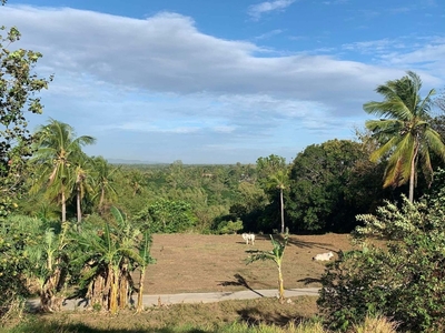 200SQm RESIDENTIAL FARM LOT for sale in Lemery, Batangas