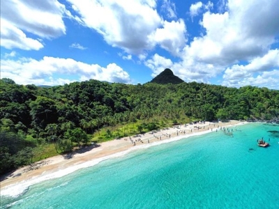 20ha beachfront Palawan El Nido 250m long private beach