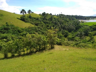 21 Hectare Lot. Titled. Good as farmland, livestock, investment etc.