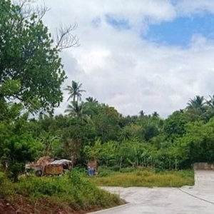 215 sqm Residential Lot For Sale in Mendez Crossing West, Tagaytay