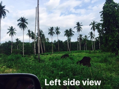 2.3 hectares lot for sale in San Vicente Palawan