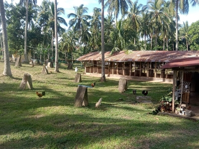 2.5 hectares titled Farm / Game Farm in cuenca batangas