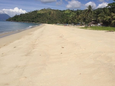 2.6 Hectares Beach Lot for sale in Santo Niño, San Vicente, Palawan