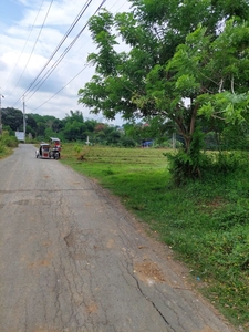26,948 sq. meters Farm lot for sale in Encanto Angat, Bulacan