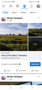 2.7 Hectares Wide Flat Farm Lot for Sale