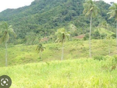2.8 Hectares Agricultural Lot For Sale in Boctol, Balilihan, Bohol