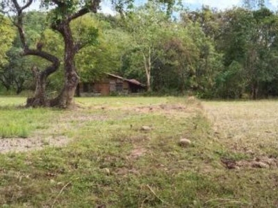 29 Hectares Titled Land in Antipolo, Rizal