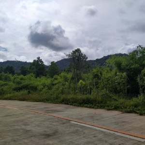 2,921 sqm Commercial Lot For Sale in El Nido, Palawan - Php 4.3M