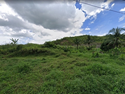 3 Hectare Lot Property for Housing/Warehouse/Land Banking in Tacloban