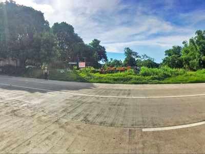 3 hectares land for sale brgy. care, tarlac city