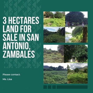 3 hectares land for sale in san antonio, zambales