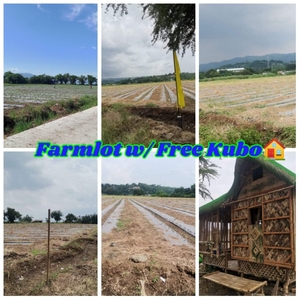 300 sqm Farm Lot For Sale in Pililla, Rizal w/ free kubo