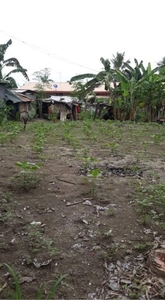 300 sqm Panabo City Residential Lot for sale
