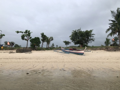 3,000sqm White sand beach lot in Cebu