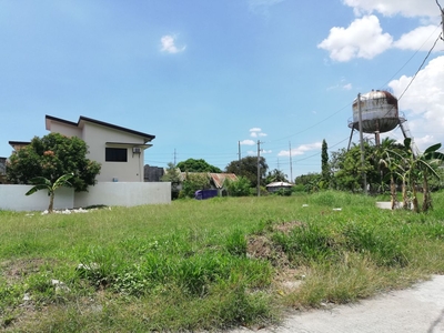 301 sqm Clean Title! Residential Lot For Sale in Dasmariñas, Cavite