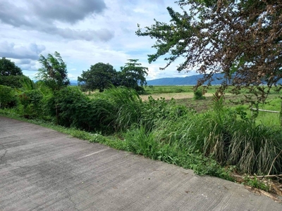 30,243 square meters Farm Lot for Sale - Lumban, Laguna