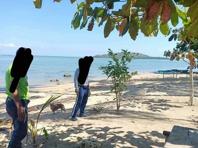 3.2 Hectares Beach Lot/Commercial Lot For Sale in Quezon, Palawan
