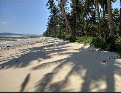 3.22 Hectares Beach Lot for sale in Union, Dapa, Siargao Islands!