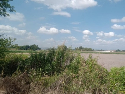 3.3 Hectares near New Clark City