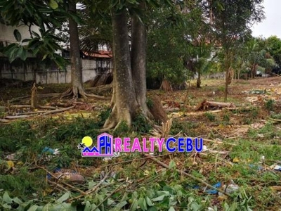 3311 SQM PRIME LOT IDEAL FOR HOUSING PROJECT IN TALAMBAN, CEBU