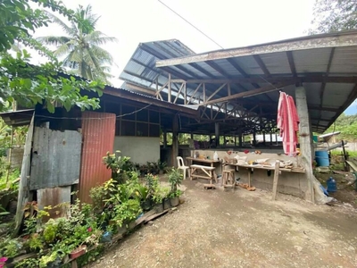 3,450 sqm Commercial farm lot for sale at Purok Magtalisay Mankilam, Tagum City