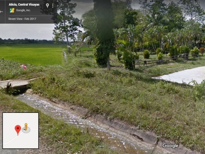 34.54 Hectares Irrigated Farm Lot For Sale in Pilar, Bohol