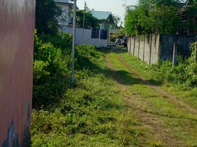 347 Sqm Residential Lot For Sale in Subabasbas, Lapu-Lapu City, Cebu