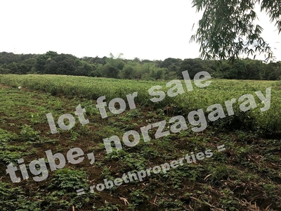 3.5 Hectares Lot For Sale in Tigbe, Norzagaray with Access Road and Creek