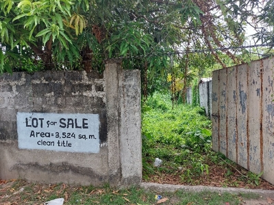 3,524 sqm Commercial Lot,for sale in Banate, Iloilo