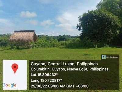 36 Hectares Farm Lot For Sale in Cuyapo, Nueva Ecija