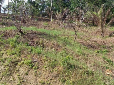 3.6 hectares Lot for Sale in San Vicente, Palawan for sale