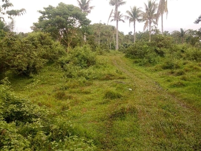 3.9 Hectares Agrictural Land For Sale in Calumpang, Matalom, Leyte