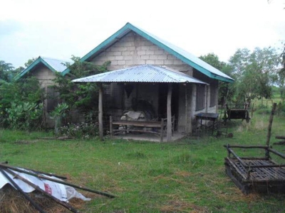3.9 Hectares Farm land For Sale in Bani, Pangasinan