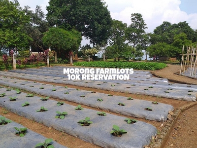 3900/sqm Farmlot+Residential Lot in One in Morong Rizal!