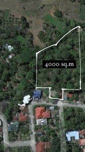 3,952sq.m. Residential Lot for sale at Dolmax Subdivision - Villa Soledad