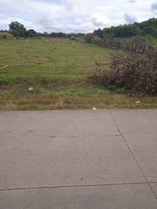 4030 square meters Agricultural Lot for sale in Rosario, Batangas