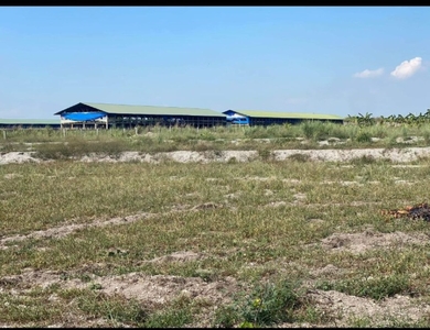 41884sqm Lot for sale perfect for poultry business