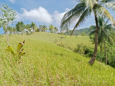 4.3 Hectares Lot for Sale in San Vicente, Palawan - P850/Sqm only
