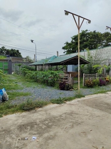 4,371 sqm Commercial Lot Property for Sale in Binangonan, Rizal