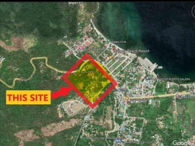 44,000 sqm Beach Lot Property with Clean Title for sale in Puerto Galera